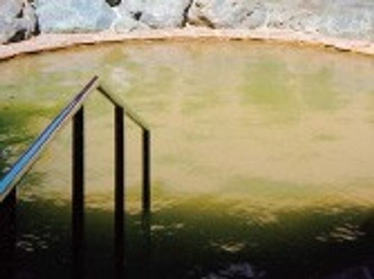 自然光が入る浴室