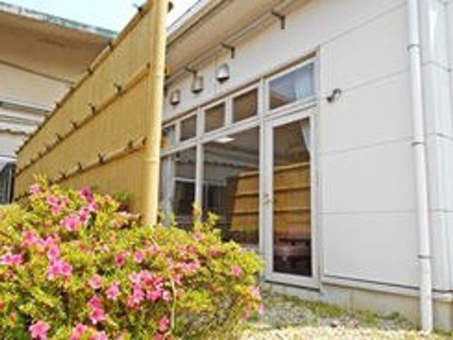鮮やかな花々と建物 中庭 明るい中庭では、季節の花々が訪れる人を楽しませてくれます。リフレッシュに最適です。