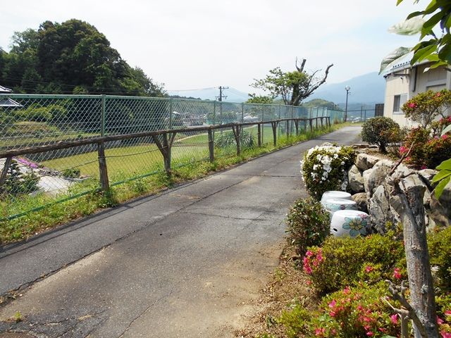 静かな自然の周辺道 庭 緑豊かな周辺環境が魅力の道です。四季折々の景色を楽しむことができます。