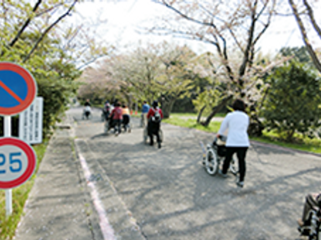 桜並木の散歩道 外観 桜の並木道を車椅子で散歩する様子です。自然を楽しむことができ、リフレッシュできます。