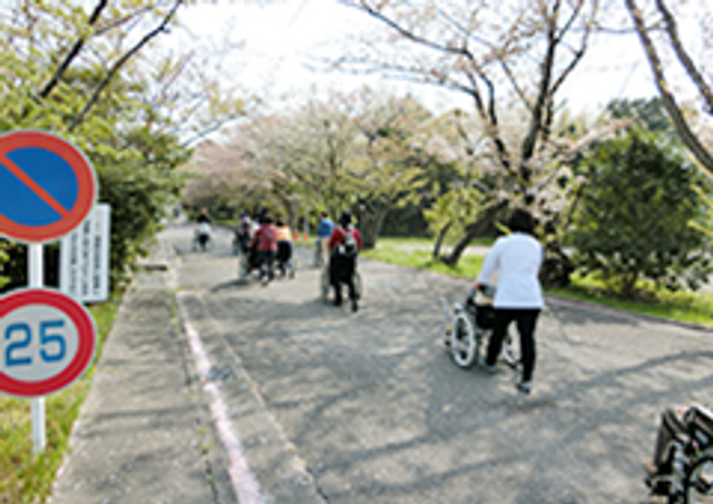 桜並木の散歩道 外観 桜の並木道を車椅子で散歩する様子です。自然を楽しむことができ、リフレッシュできます。
