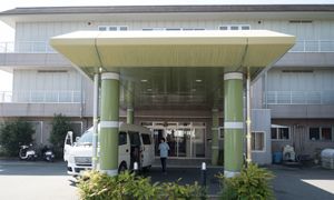 緑色の入口の外観