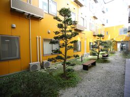 黄色い壁の中庭