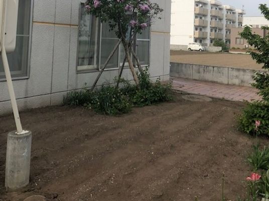 建物脇の庭  