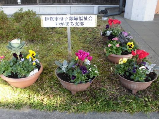 花のある庭  