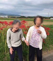 和やかな散歩風景