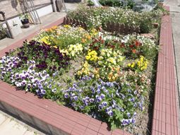 豊かな花壇の中庭