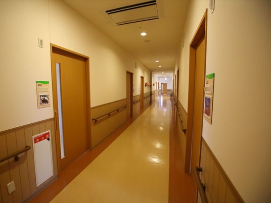 清潔な廊下の様子