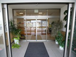 エントランスの植物