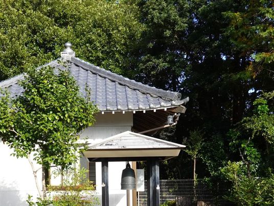緑に囲まれた建物外観  