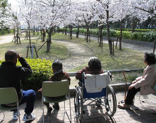 桜の見える庭