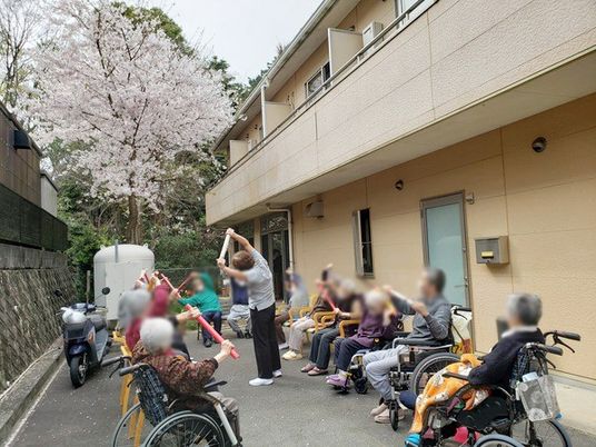 桜の見える庭