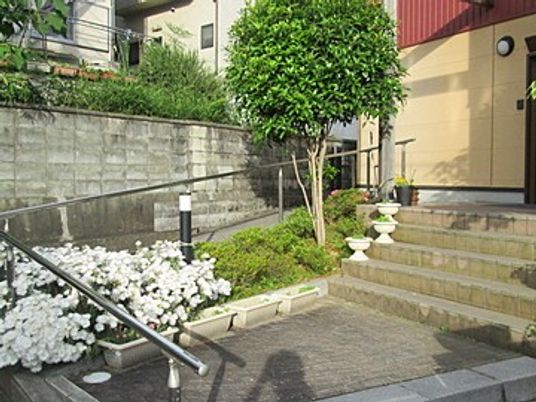 外観の階段と植栽  
