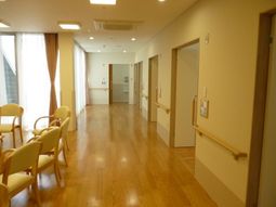 明るい廊下の空間