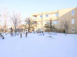 雪景色の庭と建物