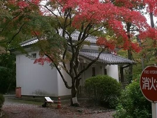 紅葉に囲まれた建物外観  