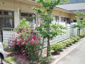 花のある中庭  