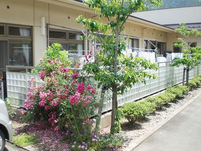 花が咲く中庭