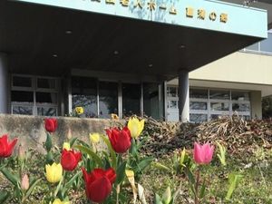 花壇と建物の外観  