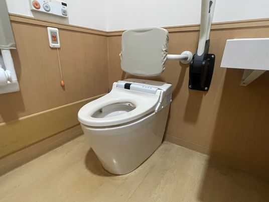 安全な設備のトイレ