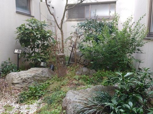 緑豊かな中庭  