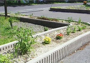 花が植えられた庭