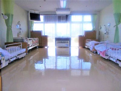 自然光が入る居室