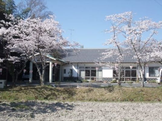 桜と建物の外観  