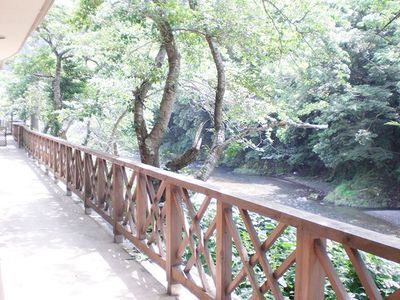 木々と小川のある景色