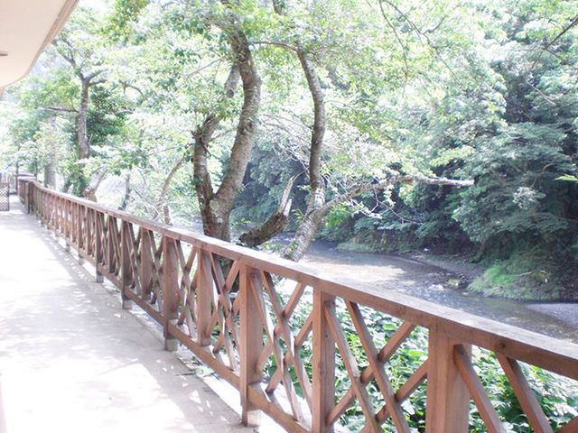 木々と小川のある景色 廊下 自然光が降り注ぐ外廊下で、リフレッシュできる環境が整っています。