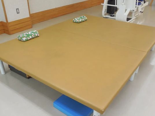 機能訓練用マット  