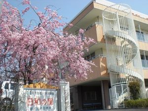 桜咲く中庭の外観