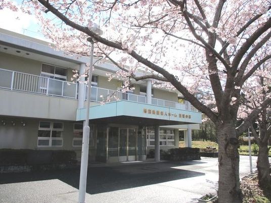 桜のある玄関