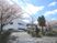 桜並木の建物外観