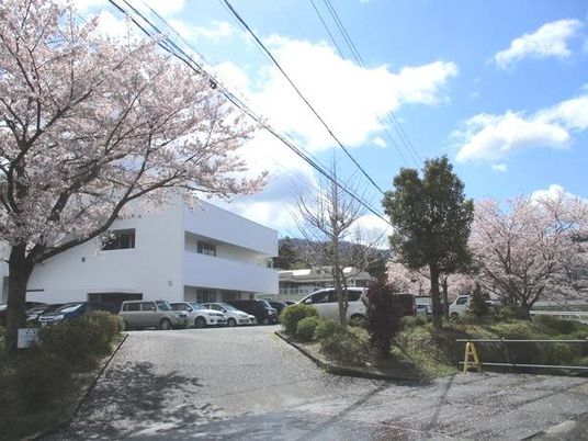 桜並木の建物外観