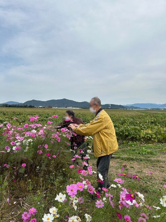 花畑の散策