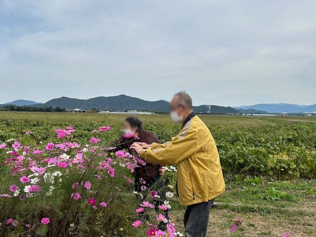 花畑の散策 庭 色とりどりの花々に囲まれた広い庭で、心地よい散策ができます。自然と触れ合える環境です。