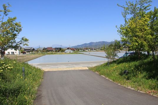 静かな庭の風景  