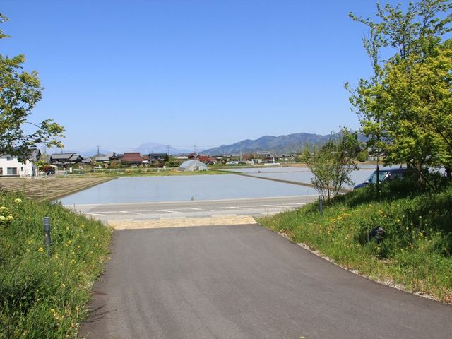 静かな庭の風景 庭   緑豊かな庭から広がる田園風景を楽しみ、心落ち着く時間を過ごせます。