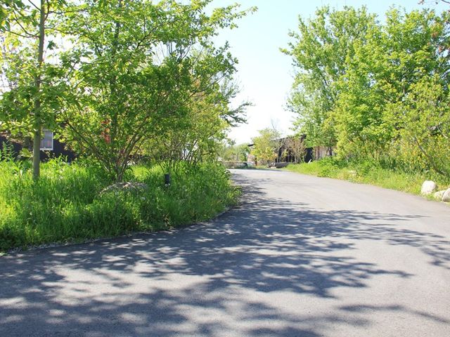 緑豊かな庭の道 庭 美しい緑に囲まれた通り道です。自然を感じながら、リフレッシュできる場となっています。