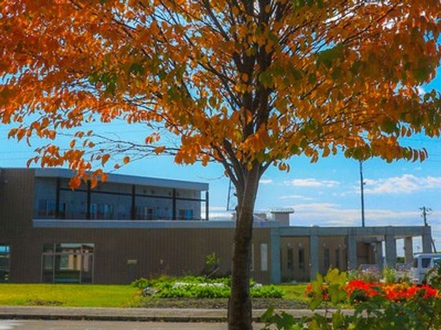 秋の外観 外観   大きな木と花壇が彩る、落ち着いた雰囲気の建物外観です。青空の下で明るく、働く場所の印象をつかみやすいです。