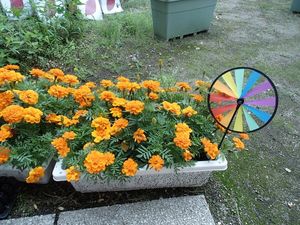 花壇と風車のある庭  