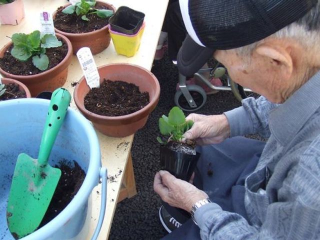 高齢者が植物を植える庭 庭 自然に囲まれながら、入居者が自分のペースで植物を楽しむ場です。リラックスした時間を過ごせます。