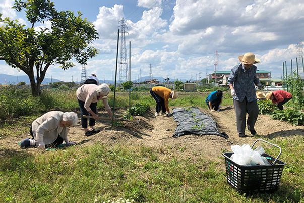 作業を楽しむ庭