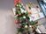 飾り付けたツリーのある廊下  