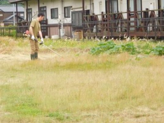 草刈りをする男性の庭  