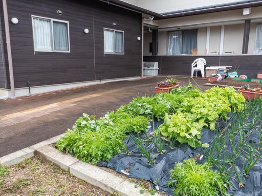 緑豊かな中庭