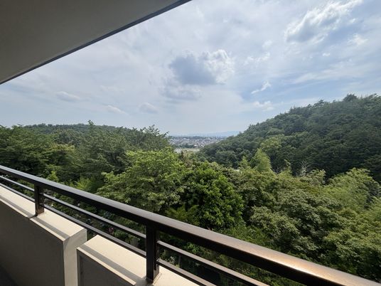 木々と市街地の展望