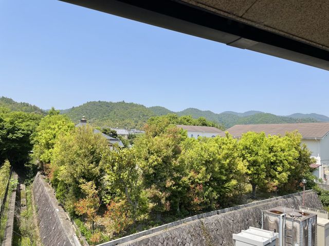 緑豊かな中庭景色 中庭 自然に満ちた中庭を望む職場環境です。心地よい緑の中で働きながら、利用者様と共に季節の移ろいを楽しむことができます。