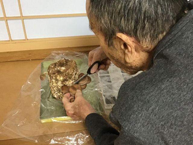 趣味活動支援の場面 多目的室 趣味やレクリエーションを支える多目的室で、入居者の方の充実した時間をサポートいただきます。